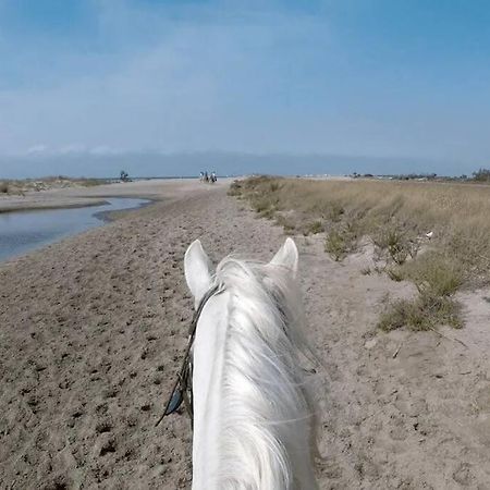 "Le Nature" Camargue Jardin Arles Buitenkant foto