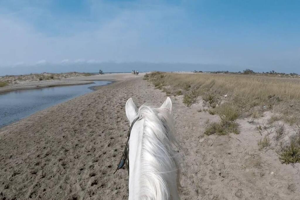 "Le Nature" Camargue Jardin Arles Buitenkant foto