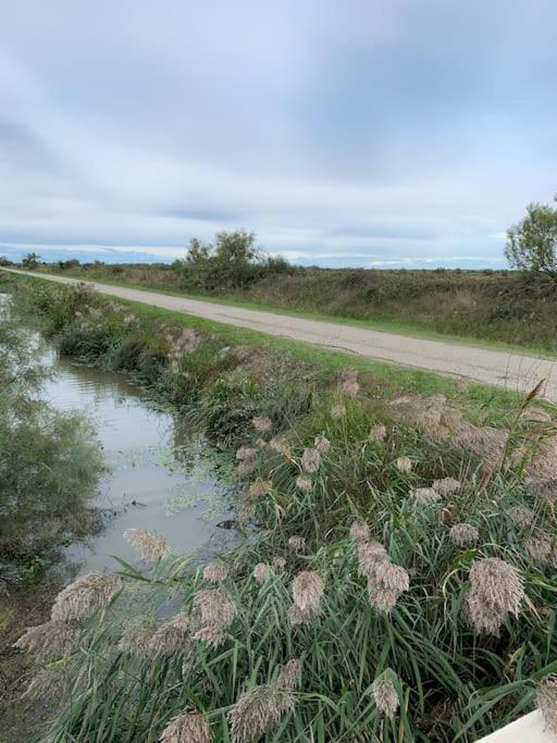 "Le Nature" Camargue Jardin Arles Buitenkant foto